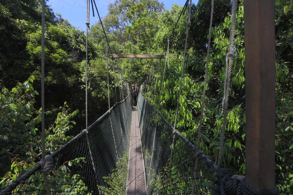 Отель Mutiara Taman Negara Куала-Тахан Экстерьер фото